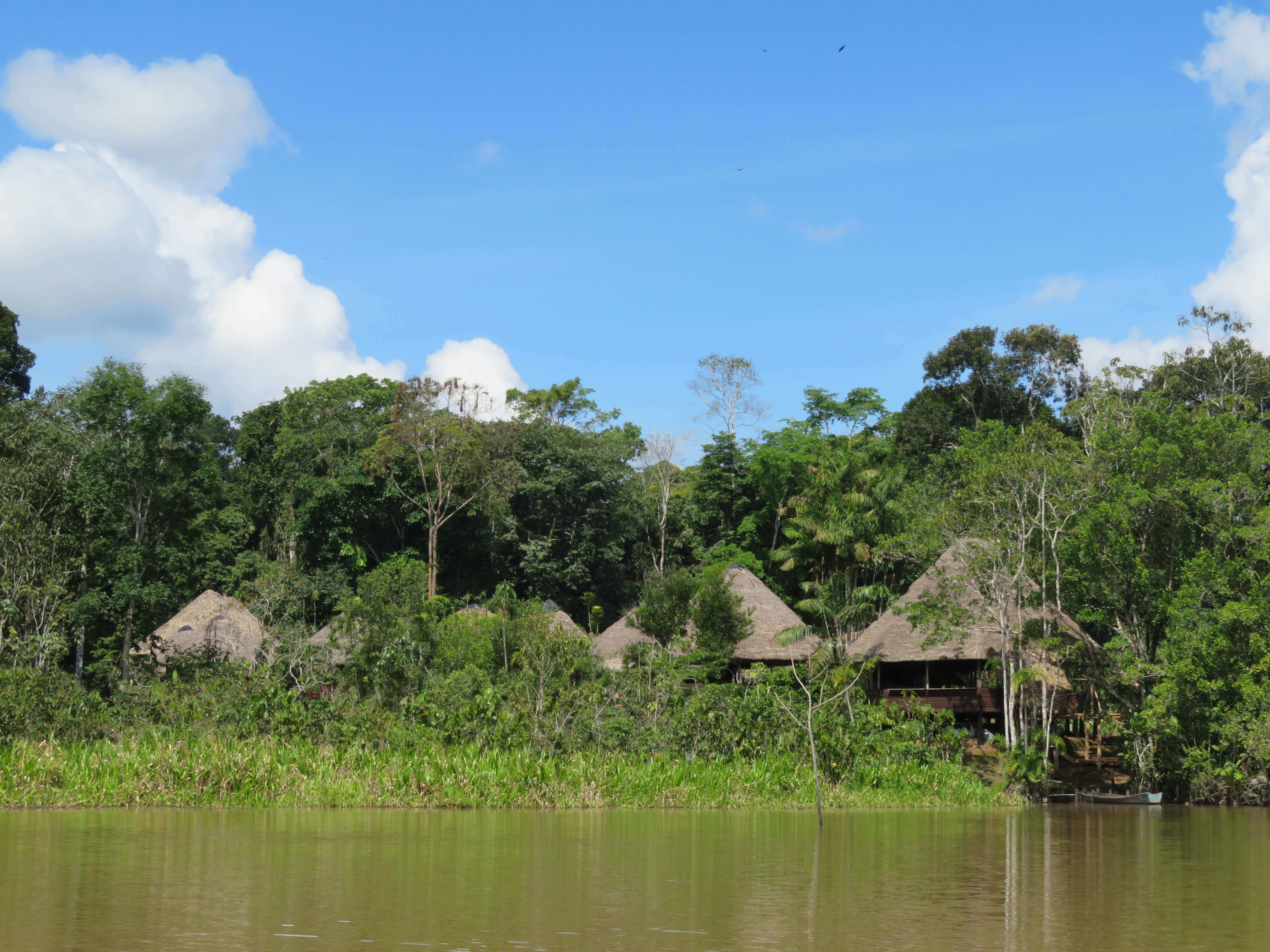 Amazon jungle tours