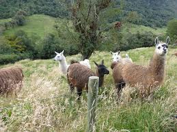 TREKKING IN NATURAL RESERVE