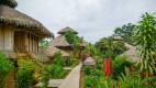 La_selva_lodge_exterior_cabins_2.jpg